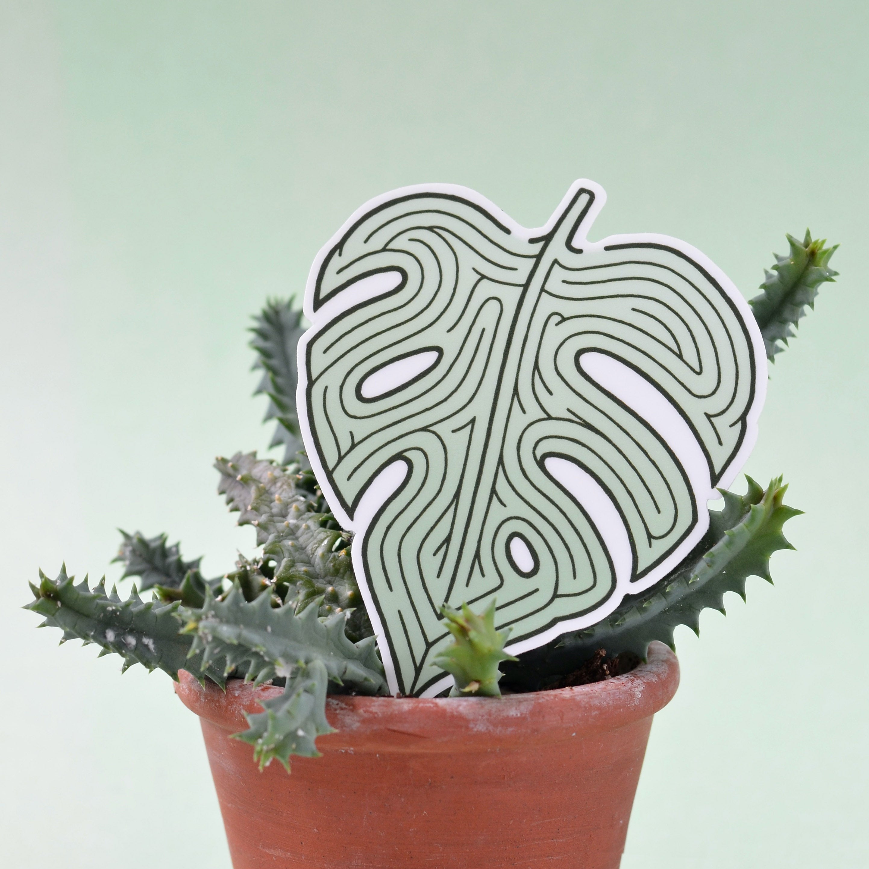 Monstera Split Leaf Philodendron Maze Sticker | 3x3.5 inches