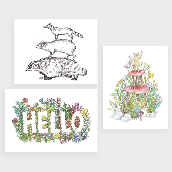 Postcard Set | 3 Plant & Animal Drawings by Marie Gardeski