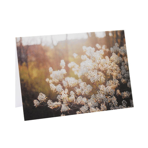 Greeting Card Film Photography | Dreamy Blossoms | Blank Inside