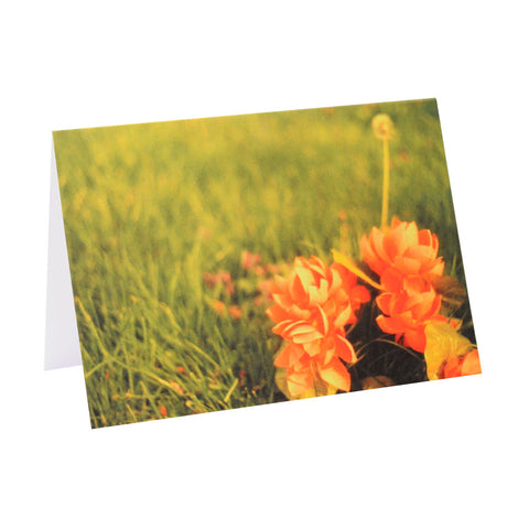 Greeting Card Film Photography | Bright Pink and Green Flowers | Blank Inside