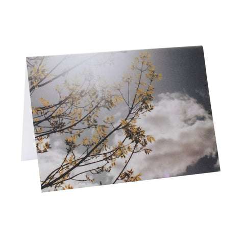 Greeting Card Film Photography | Nature | Blank Inside