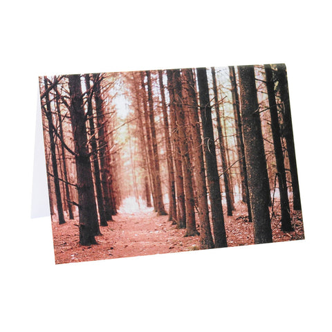 Greeting Card Film Photography | Magic Forest | Blank Inside