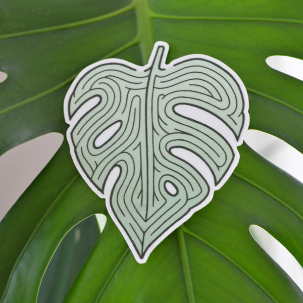 split leaf philodendron drawing Monstera Split Leaf Philodendron Maze Sticker | 3x3.5 inches